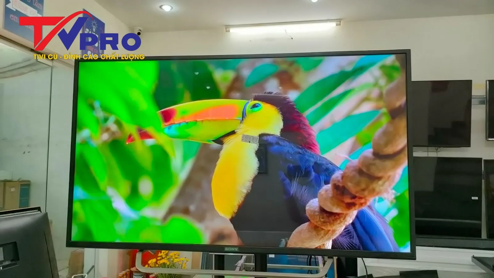 so sánh tivi samsung và sony 65 inch cũ 