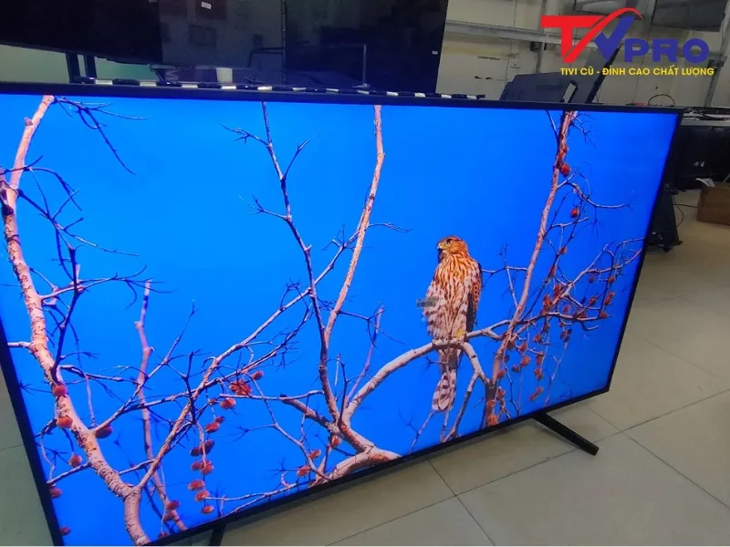 #Có Nên Mua Tivi Sony 4K Cũ Không? Ưu Điểm Nổi Bật 