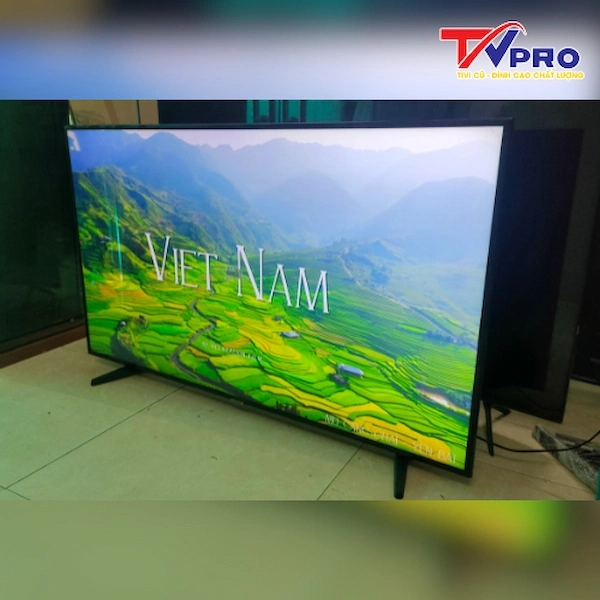 nên mua tivi 43 inch hay 49 inch