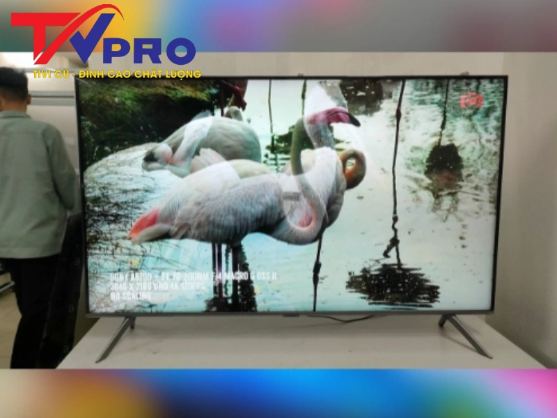 #Mẫu Tivi Samsung 43 Inch Cũ Giá Rẻ, Chất Lượng Uy Tín Tại Tivi Pro