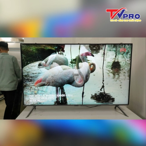 tivi samsung 43 inch cũ