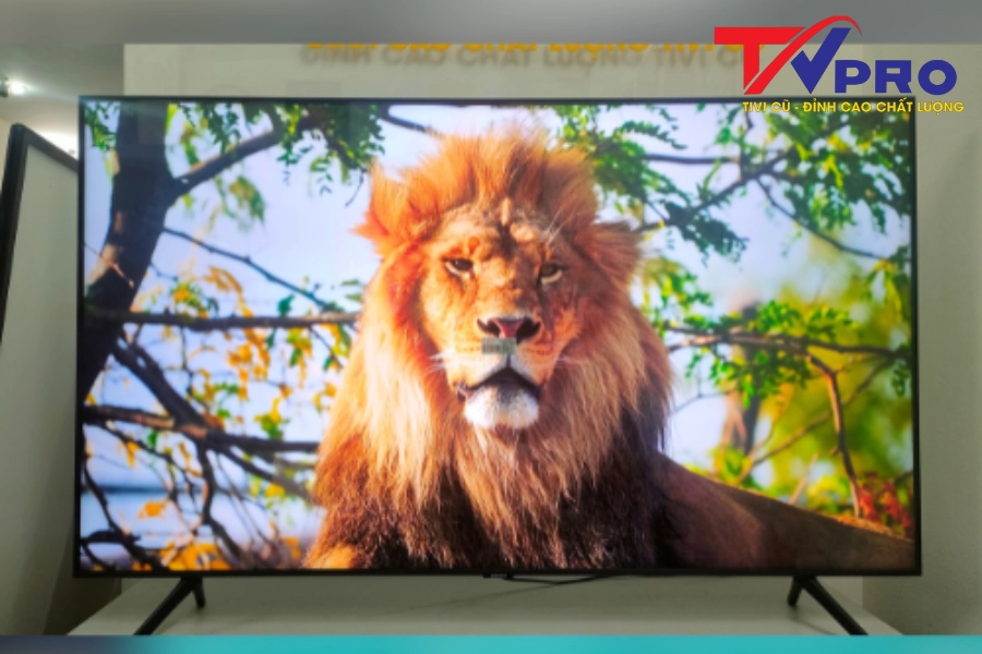 #1 Nên Mua Tivi 4K Hay Qled? Dòng Tivi Nào Tốt Nhất Hiện Nay?