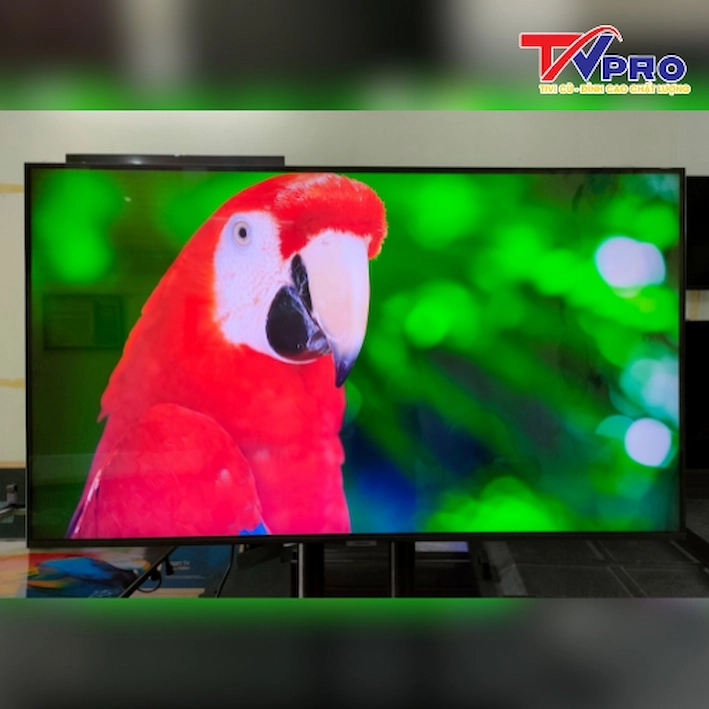 so sánh tivi samsung và lg 43 inch cũ 