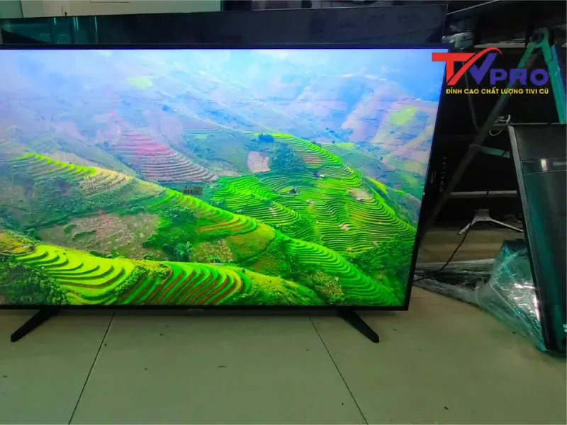 Mua ở đâu uy tín ở tivi 43 Inch cũ