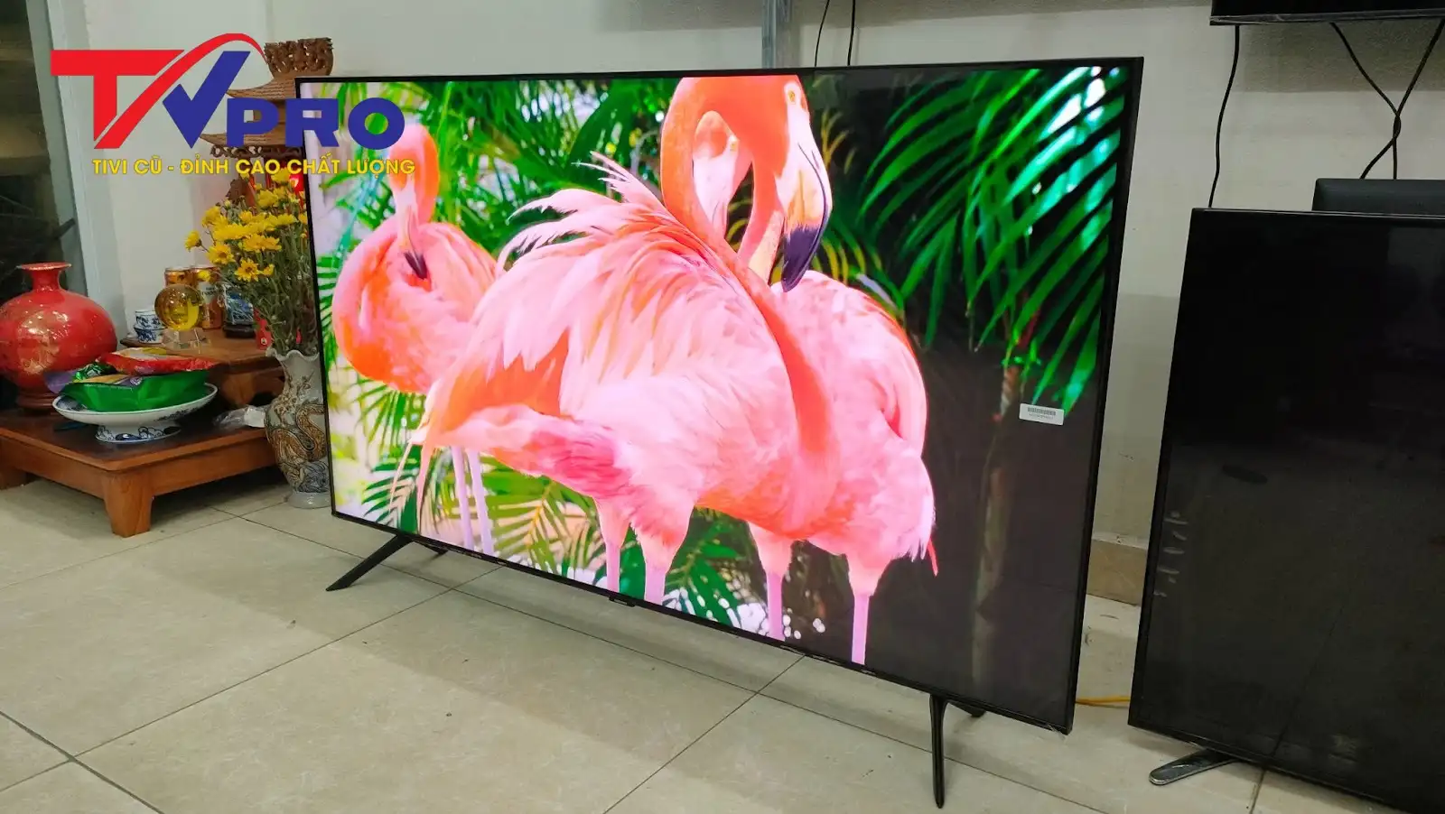  Nên mua tivi 50 inch cũ hãng nào? Phân Tích Ưu Điểm, Nhược Điểm 