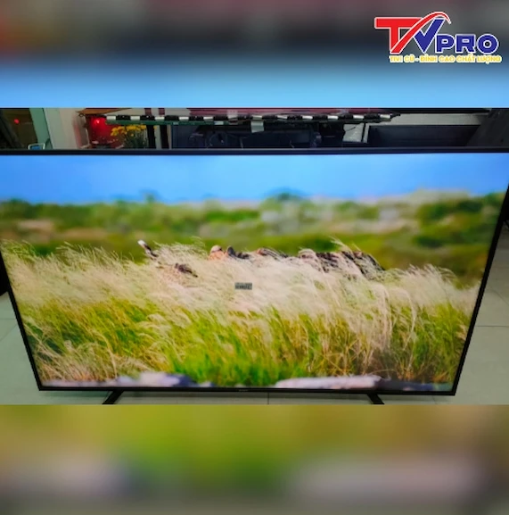 # Tư Vấn Tivi Samsung 55 Inch Cũ Nên Mua Loại Nào Bền Đẹp Giá Tốt