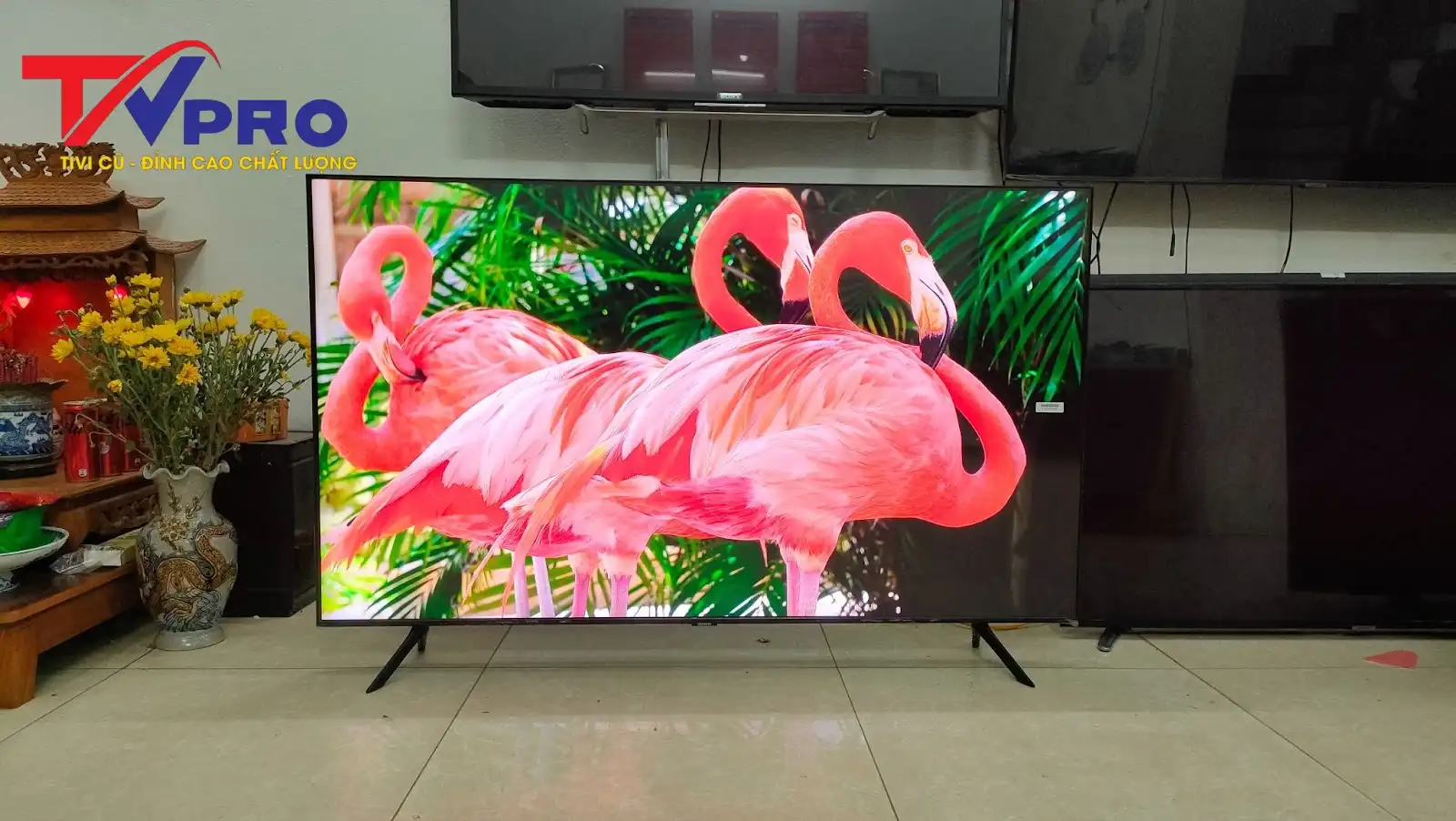  Nên mua tivi 49 inch cũ hãng nào? Tư vấn Chất Lượng, Hiệu Năng