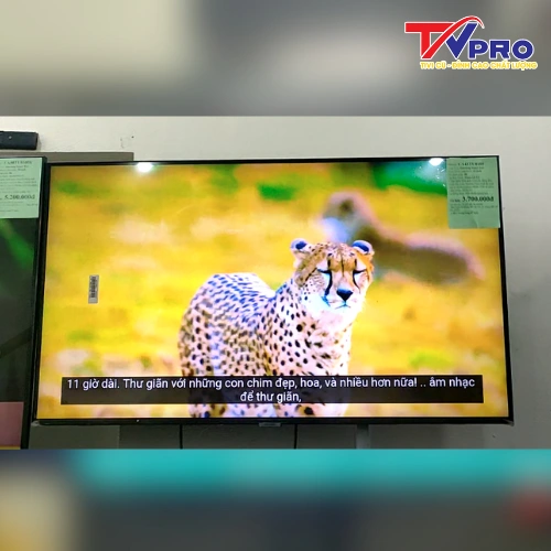 nên mua tivi led hay lcd