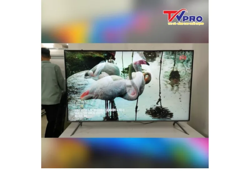 Phòng khách khi mua tivi 50 inch cũ