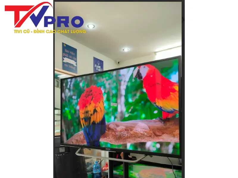 TiviPro - Địa chỉ mua tivi Sony 49 inch cũ uy tín